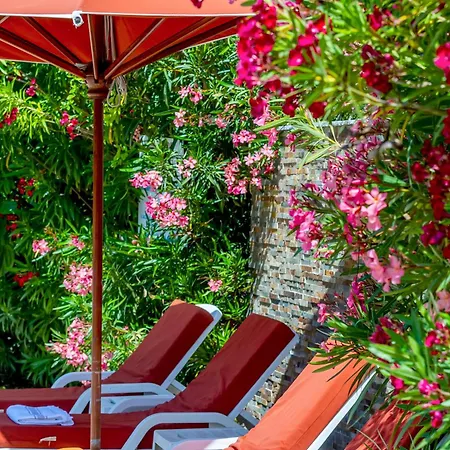 Servotel Saint-vincent 4* Νίκαια