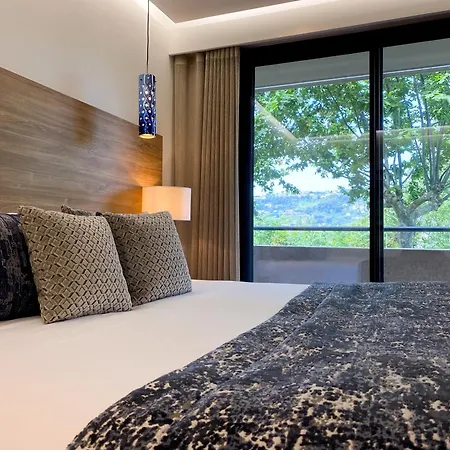 Servotel Saint-vincent 4* Ницца